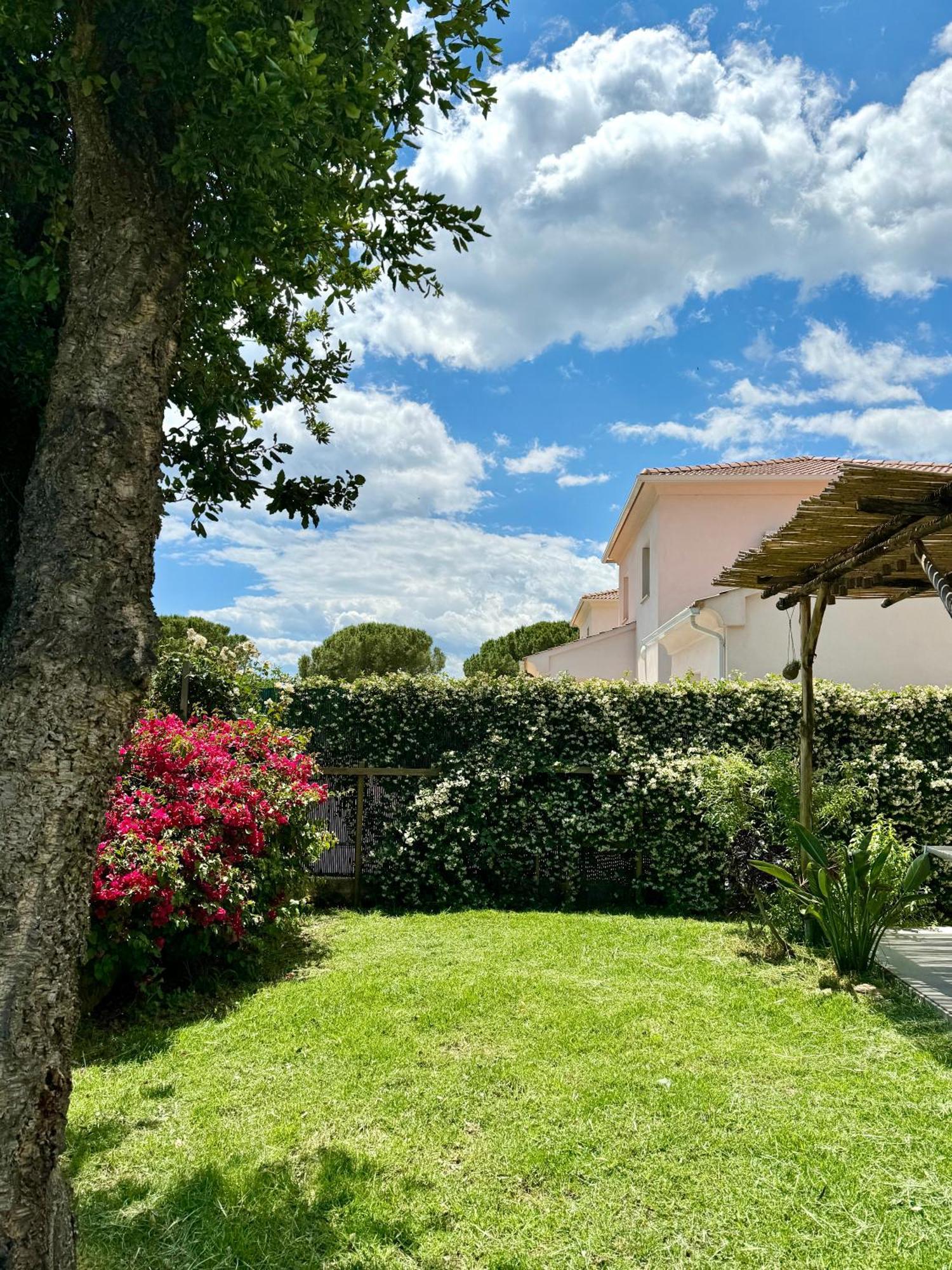 Jolie Maison Borgo Trois Chambres Trois Salles De Bain 외부 사진